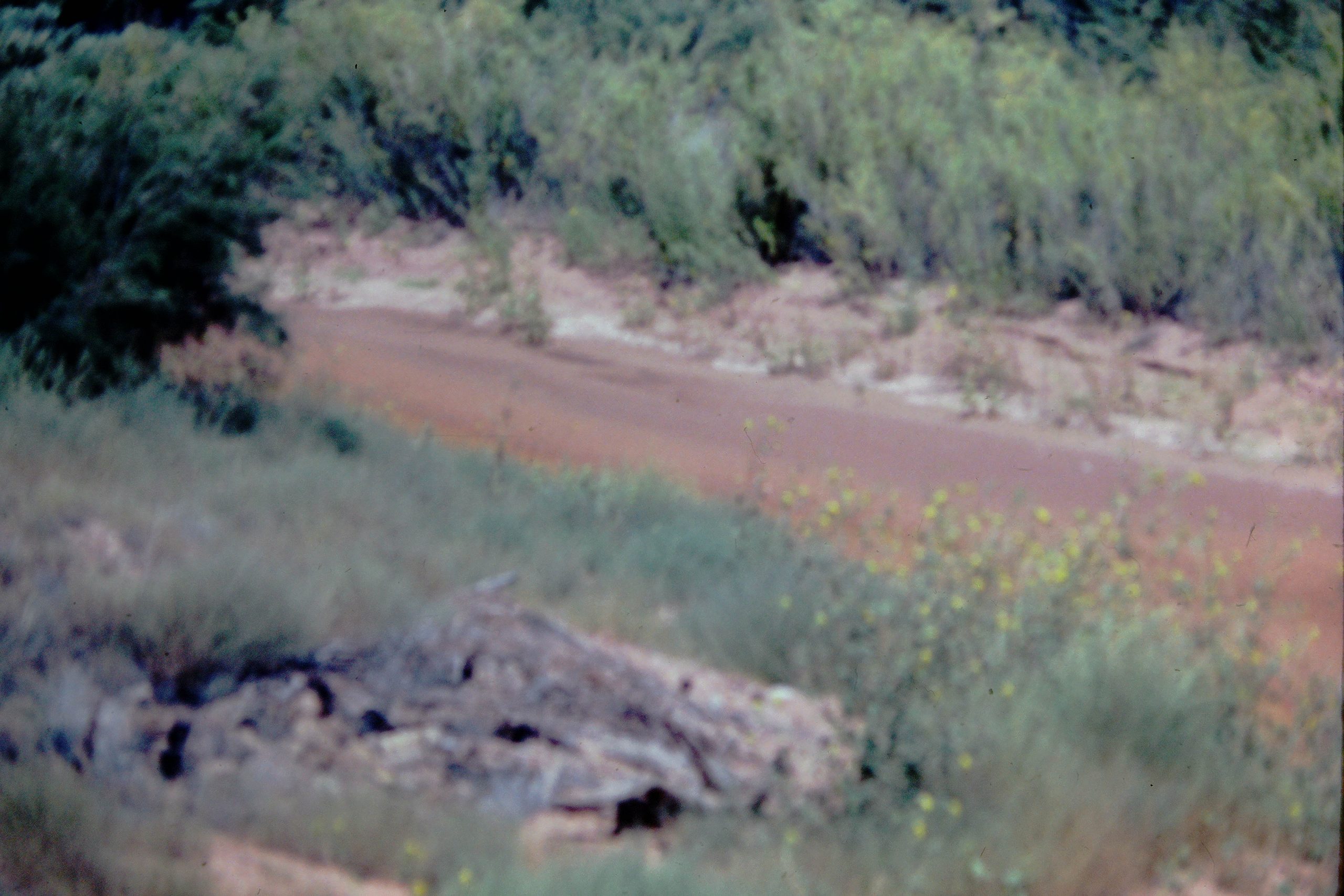 NOVATEK CAMERA
